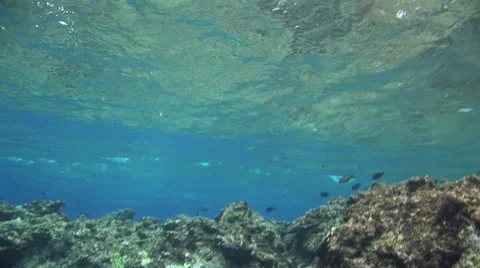 Breaking Wave Stock Footage 53337500