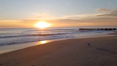 Breaking Wave Video stock 280400131