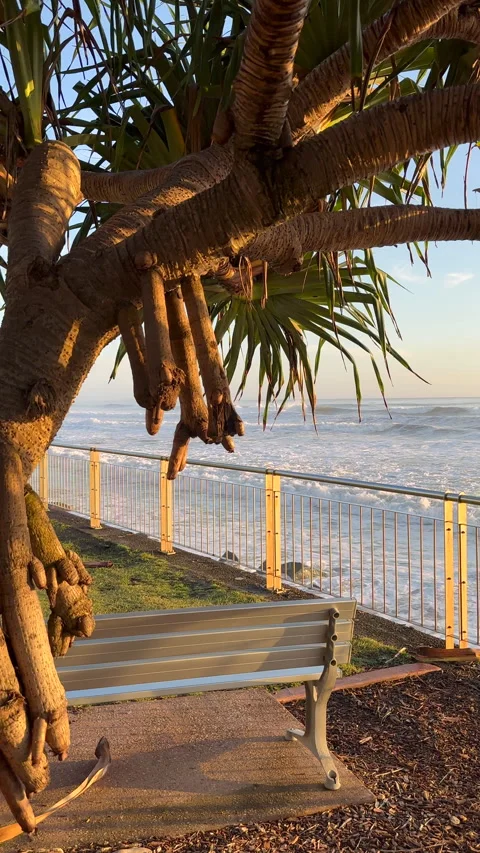 Breaking Waves Onshore with Pandanus Tree Vidéo 301616866