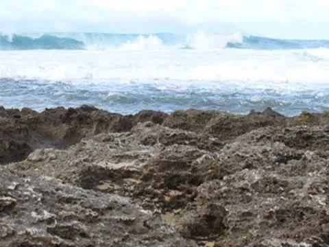 Breaking Waves on Reef 動画素材 10561162