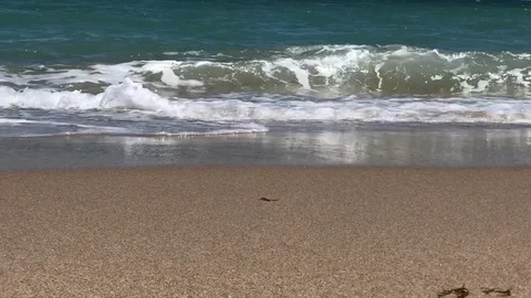 Breaking waves on sandy beach Stock Footage 127719891