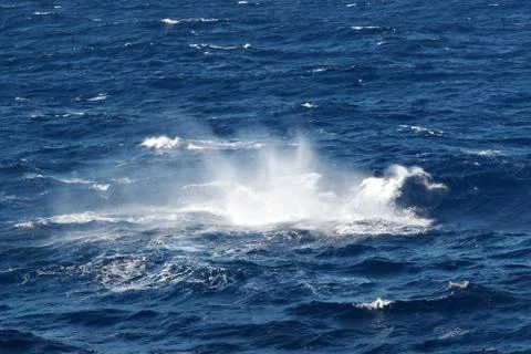 Breaking Waves on the sea. Background space for writing and projects. Stock Photos