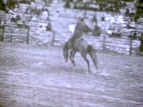 Breaking Wild Horses Video stock 139946897