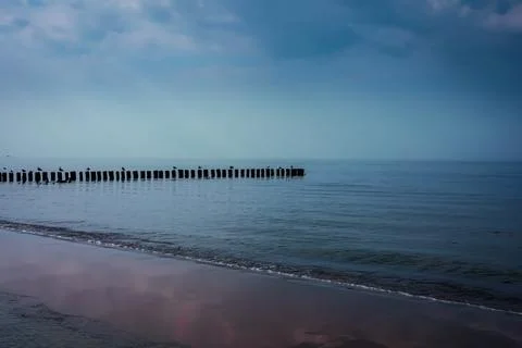 Breakwater on empty beach. Stock Photos