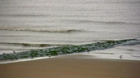 Breakwater Stock-Footage 7736591