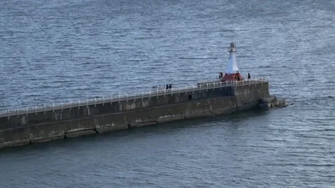 Breakwater Lighthouse at Ogden Point Terminal, Canada Stock Footage 234036596