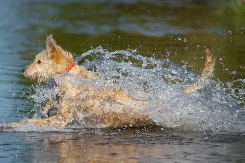Breakwater Stock Photos