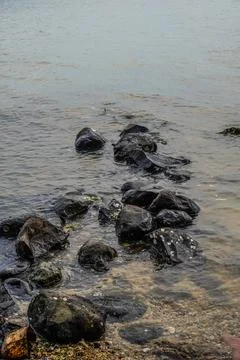 Breakwater Stock Photos