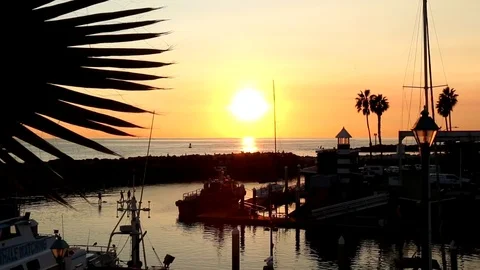 Breakwater sunset Video stock 83470682