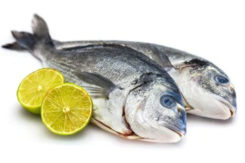 Bream fish with lime isolated on white background Stock Photos