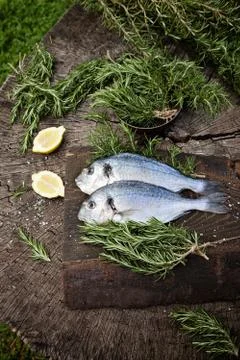 Bream fish preparation Stock Photos