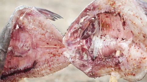 Bream on open fire Vídeos de archivo 40582710