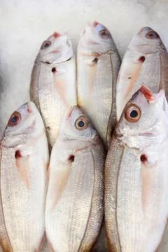 Bream Stock Photos