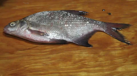 Bream prepare before frying Stock Footage 36004844