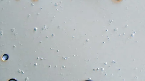 Breast Milk under a Microscope 03 Stock-Footage 153451225