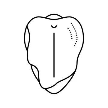Breast with ribs line icon vector illustration Stock Illustration