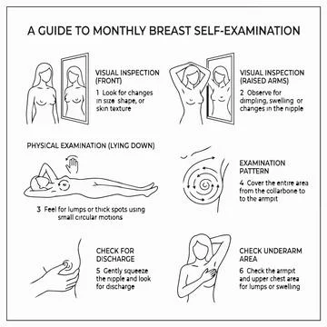 Breast Self-Exam Guide, Monthly Health Check, Female Illustration Silhouette Ilustração Stock