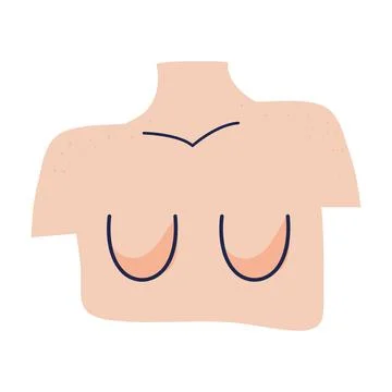 Breast of woman, line icon. Different shape and size. Breast
