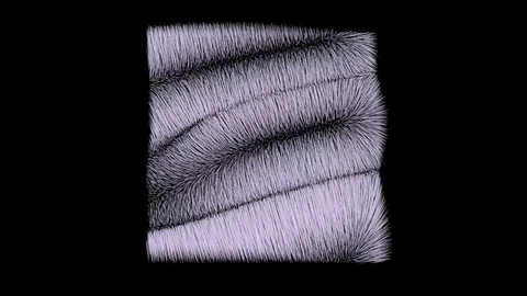 BREATH Stock Footage 113800037