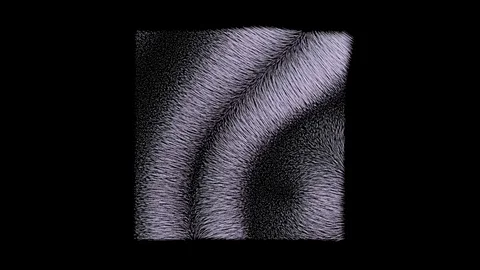 BREATH Stock Footage 113800046