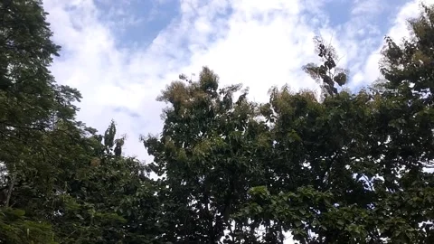 "The Breath of Nature Behind the Clouds" 動画素材 329242080