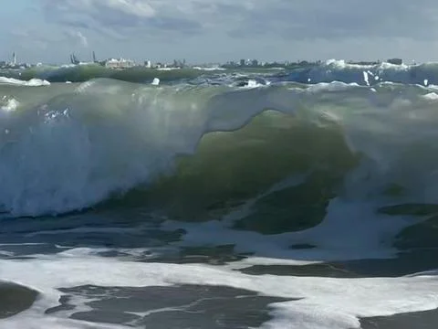 Breath of the Wave Stock Photos