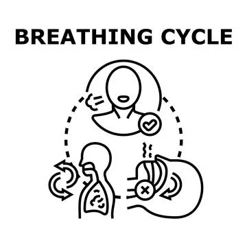 Breathing cycle process concept with correct air flow Stock Illustration