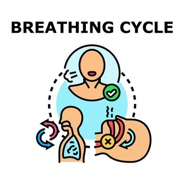 Breathing cycle process concept with correct air flow Stock Illustration