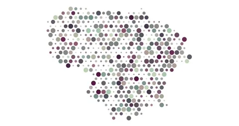 Breathing Dots Form Map of Lithuania Stock Footage 312475573