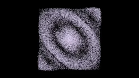 BREATHING Stock Footage 113800041