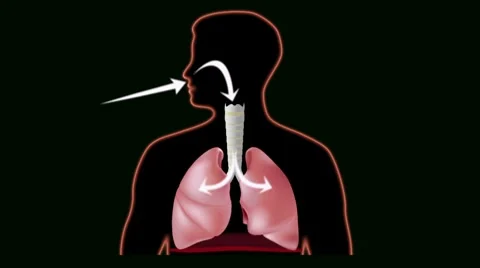 Breathing loop Video stock 7758698