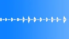 Breathing male out of breath 03 Sound Effect