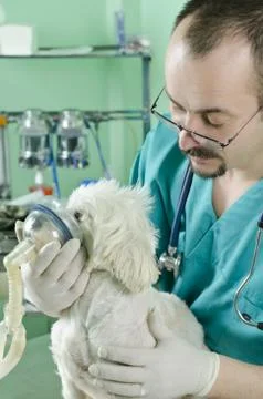 Breathing problems Stock Photos