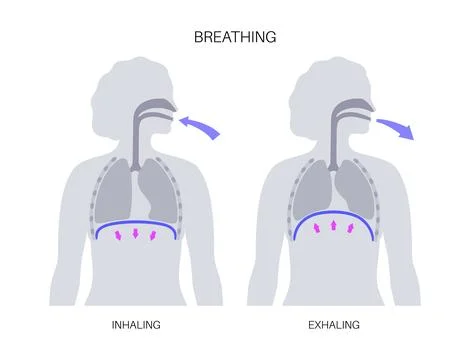 Breathing process poster Stock Illustration