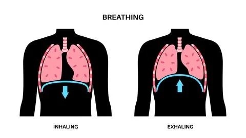 Breathing process poster Stock Illustration