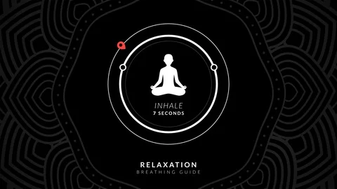 Breathing Technique. 7 seconds inhale. 11 seconds exhale. Stock Footage 129585307