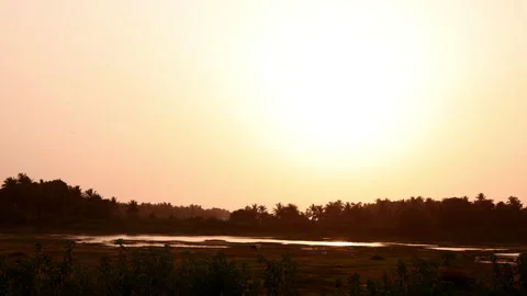 A breathtaking 4K time-lapse of a golden sunset. Stock Footage 341553265