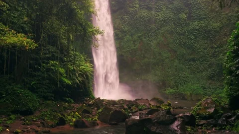 Breathtaking 50-meter Bali waterfall in tropical rainforest jungle Stock Footage 293004783