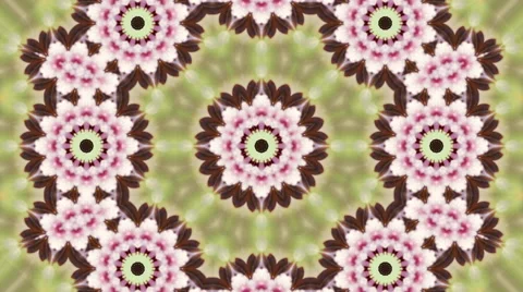 Breathtaking abstract kaleidoscopic pattern with pink cherry blossoms. Stock Footage 57683575