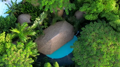 A breathtaking aerial perspective of a swimming pool surrounded by a vibrant Stock Footage 264077853