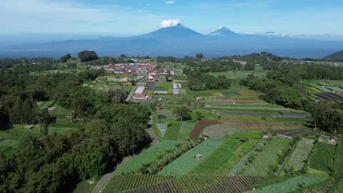 A breathtaking aerial view of a Central Java village Stock Footage 292594994