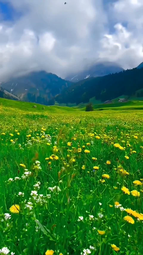 Breathtaking aerial view of dramatic mountains Stock Footage 280191874
