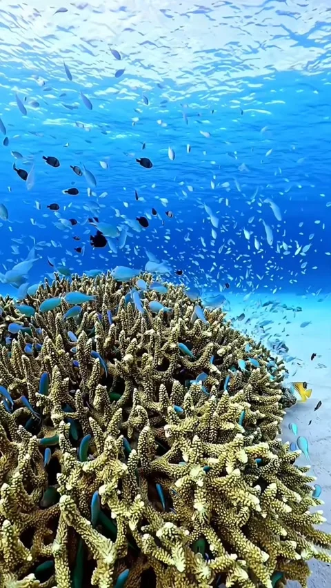 Breathtaking aerial view dramatic mountains Stock Footage 280191961