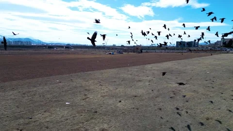A breathtaking aerial view of a massive intersection, showcasing the dynamic flo 動画素材 303627971
