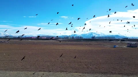 A breathtaking aerial view of a massive intersection, showcasing the dynamic flo 動画素材 303628039