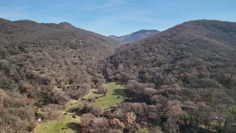 Breathtaking aerial view of olive trees plantation among picturesque hills with 動画素材 345223477