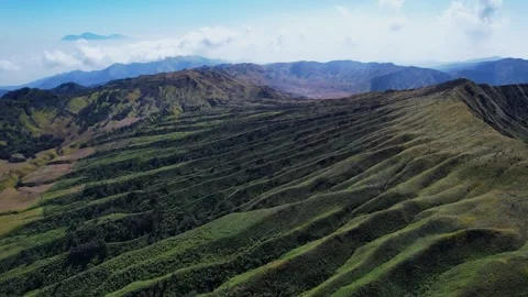 Breathtaking Aerial View Over Mount Bromo's Lush Tengger Caldera in East Java Stock-Footage 317544107