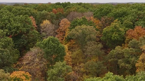 A breathtaking aerial view of rolling hills covered in dense forest as early aut Stock-Footage 324769607
