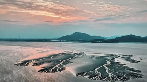 Breathtaking Aerial View of Tidal Tree Patterns in Qiantang River China Stockbeeldmateriaal 342602770