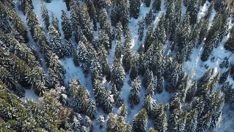 Breathtaking aerial view of winter forest in Alpes-Belledonne, France Stock Footage 301348776